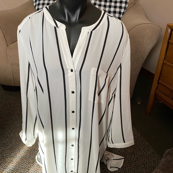 DR2 Tops - NWT Ladies Sz XL Sheer Striped Blouse